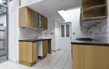 Ringsend kitchen extension leads
